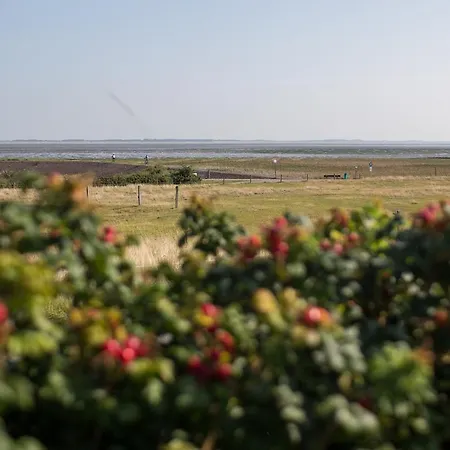 Appartement Haus Braeaetlun Braeaetlun 1